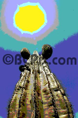 Product picture Arizona Cactus abstract 5
