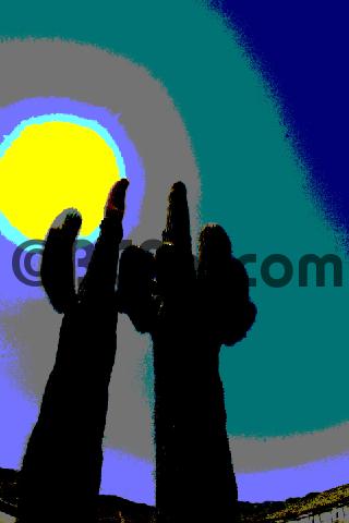 Product picture Arizona Cactus abstract 1