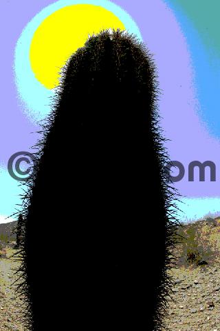 Product picture Arizona Cactus abstract 4