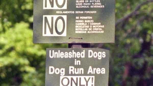 Product picture New York City Rules