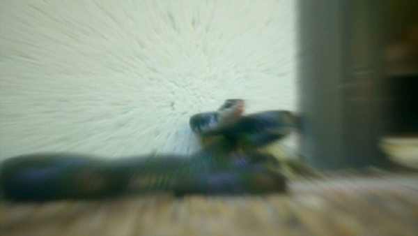 Product picture Black Snake Striking