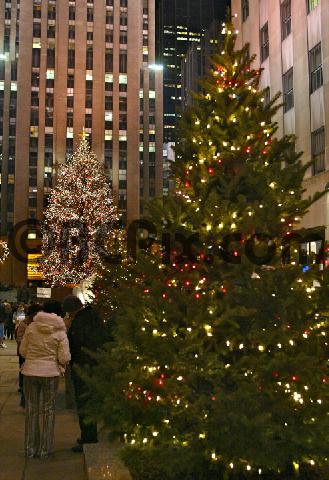 Product picture Christmas trees, Rockefeller Center, NYC