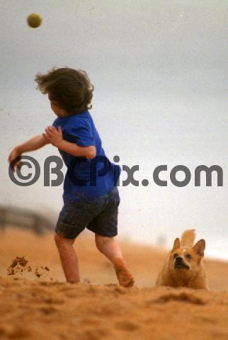 Product picture A boy throws a ball for his dog on the beach