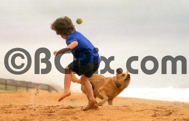 Product picture A boy plays with his dog on the beach
