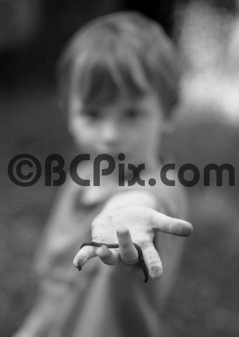 Product picture A little boy hold an earthworm in his dirty hand