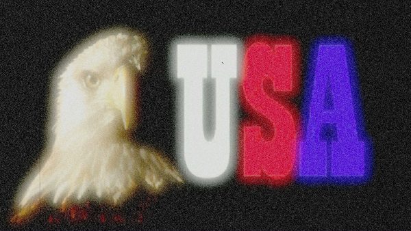 Product picture USA Bald Eagle flickering film