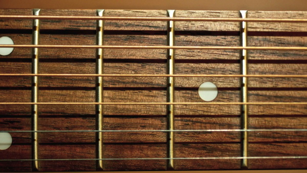 Product picture Guitar srings and frets